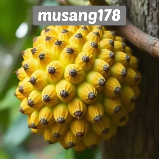 Ulasan Komprehensif tentang Fitur Musang178